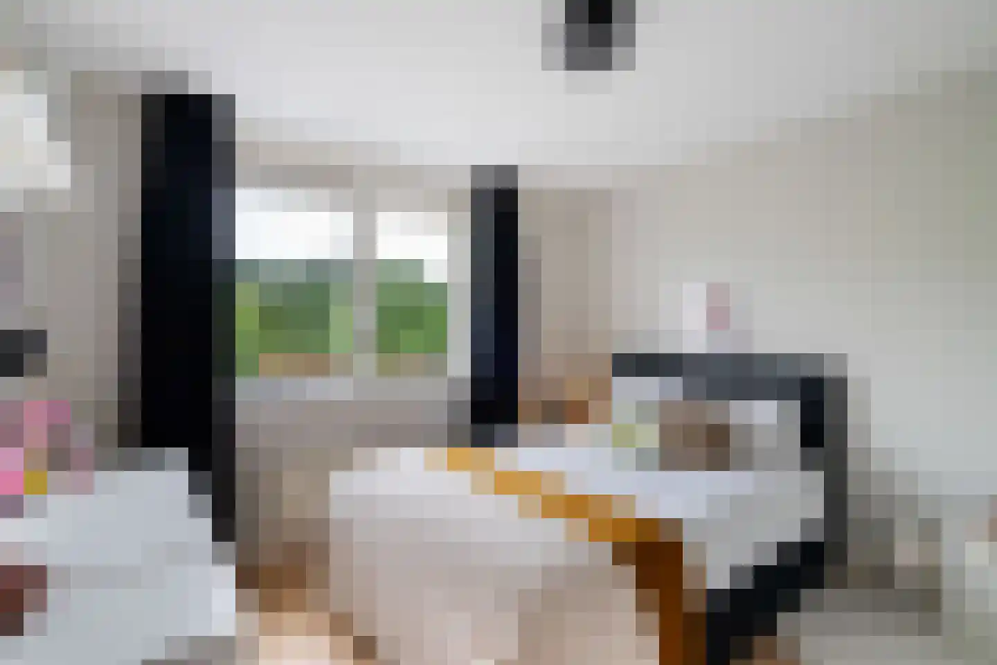 Odahoevestraat 24 Weert thumbnail 30