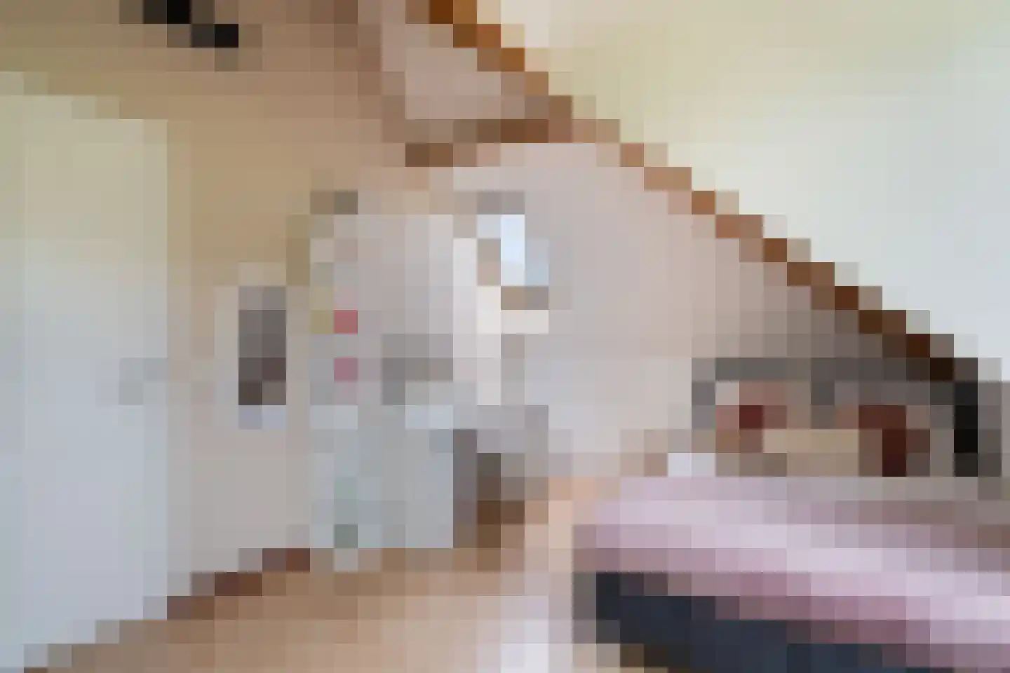 Odahoevestraat 24 Weert thumbnail 38