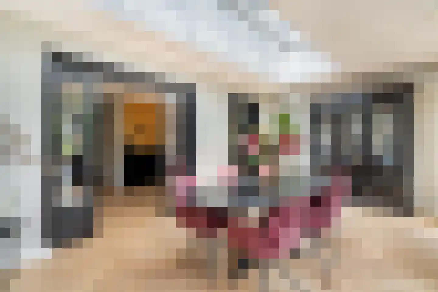 Odahoevestraat 24 Weert thumbnail 4