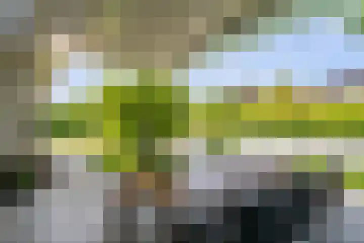Odahoevestraat 9 Weert thumbnail 40
