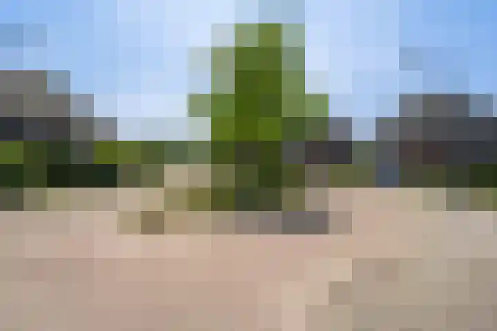 Odahoevestraat 9 Weert thumbnail 50