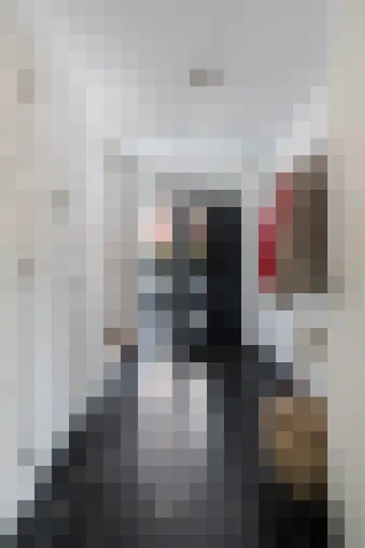 Odahoevestraat 9 Weert thumbnail 8