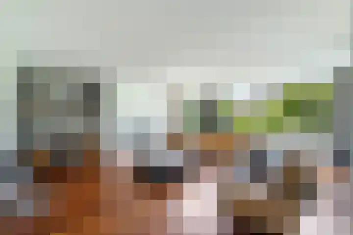 Odahoevestraat 9 Weert thumbnail 9