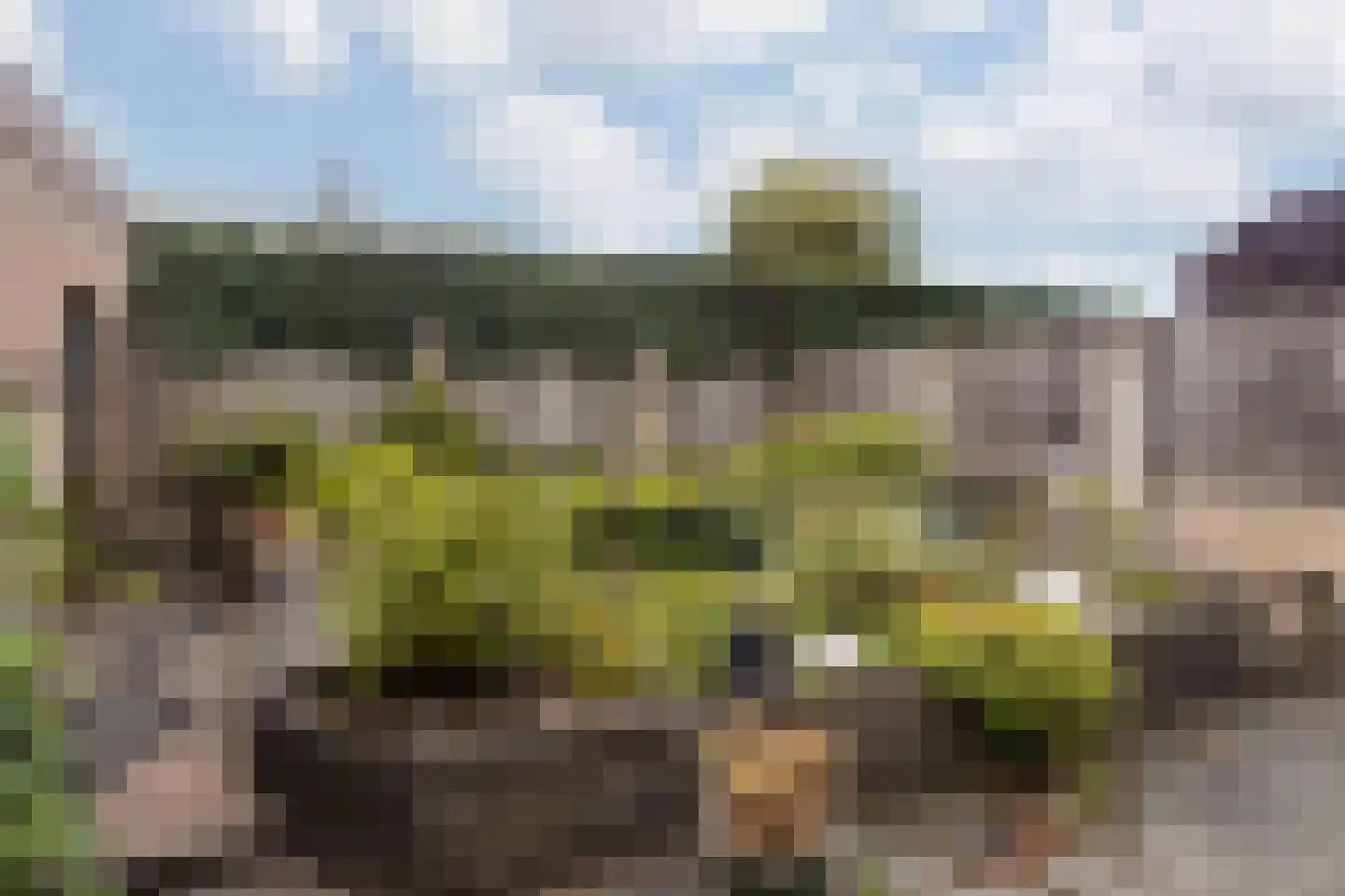 Odalaan 28 Urmond thumbnail 37
