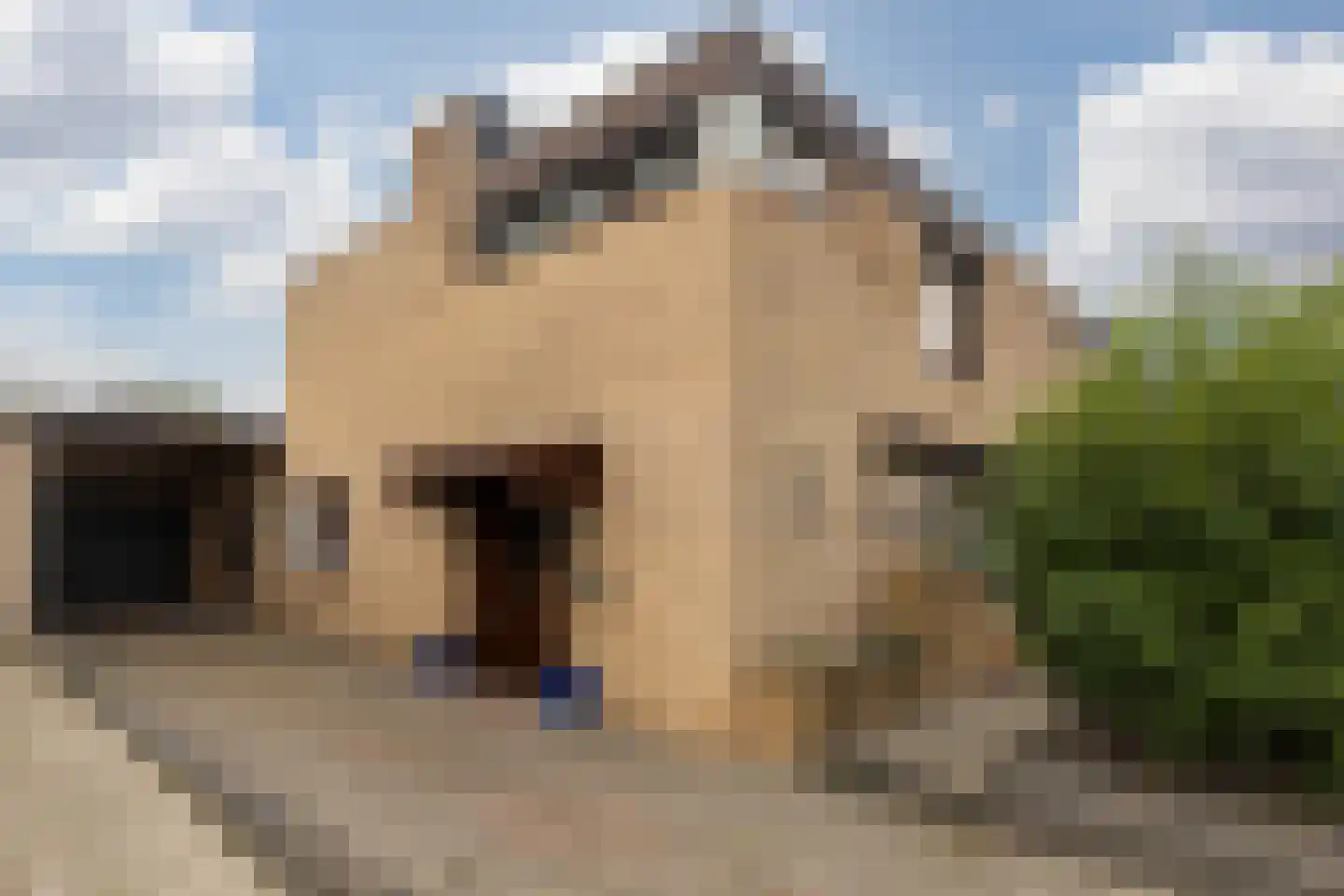 Odalaan 28 Urmond thumbnail 9