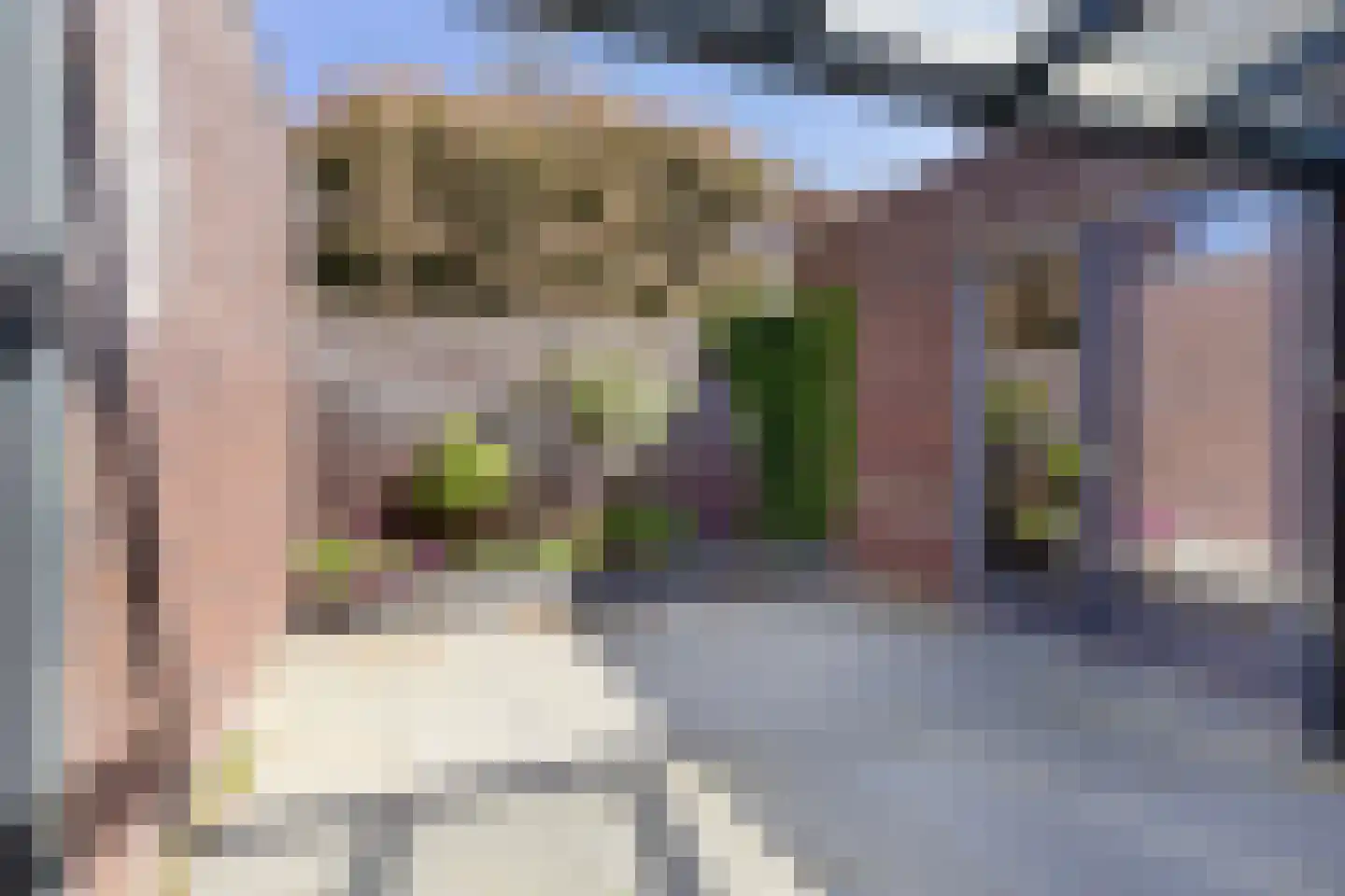 Odapark 12 Budel thumbnail 5