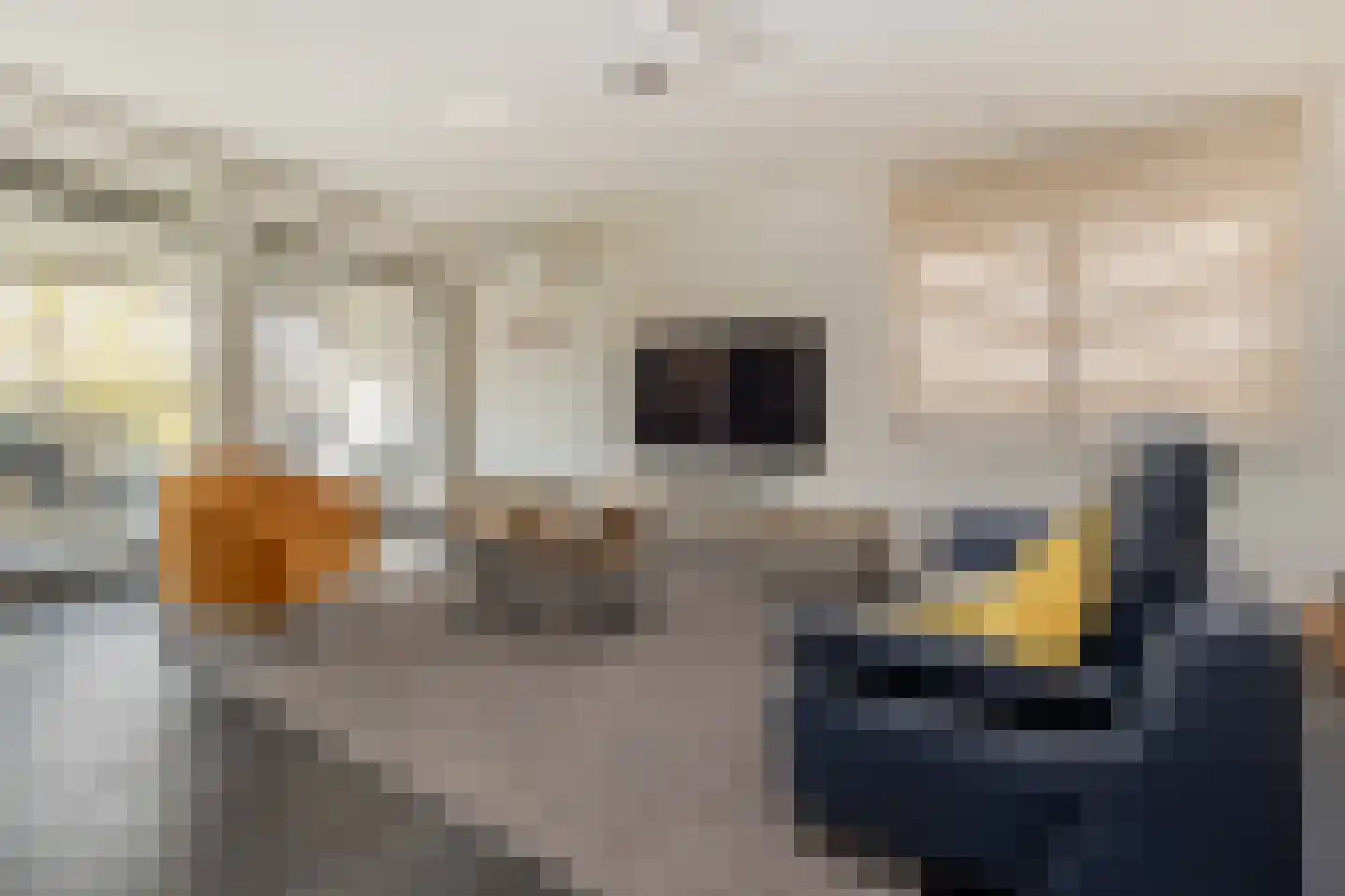 Odasingel 513 Sittard thumbnail 13