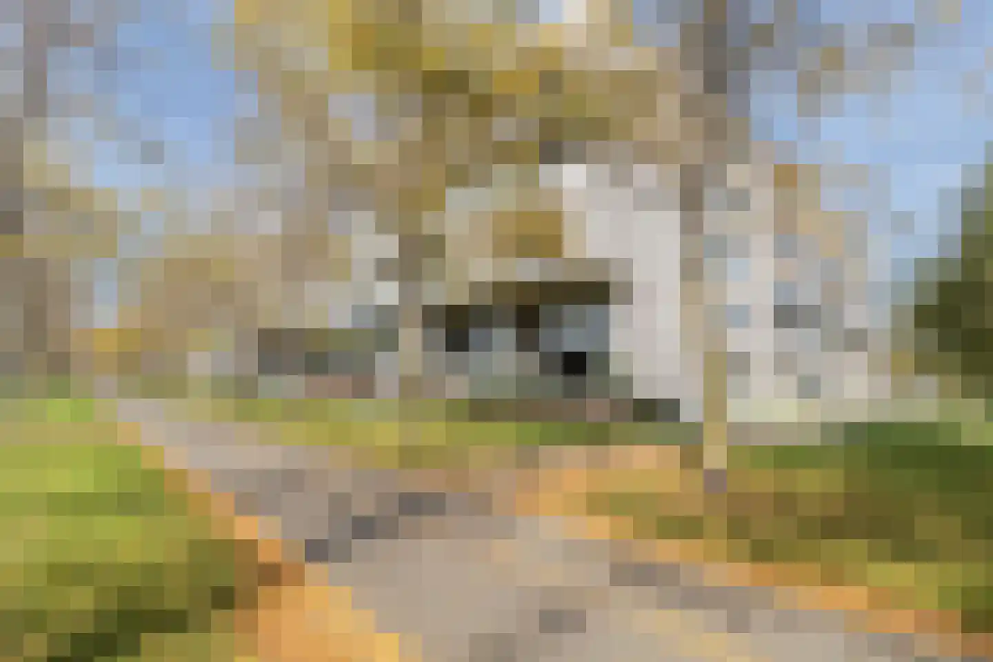 Odasingel 513 Sittard thumbnail 36