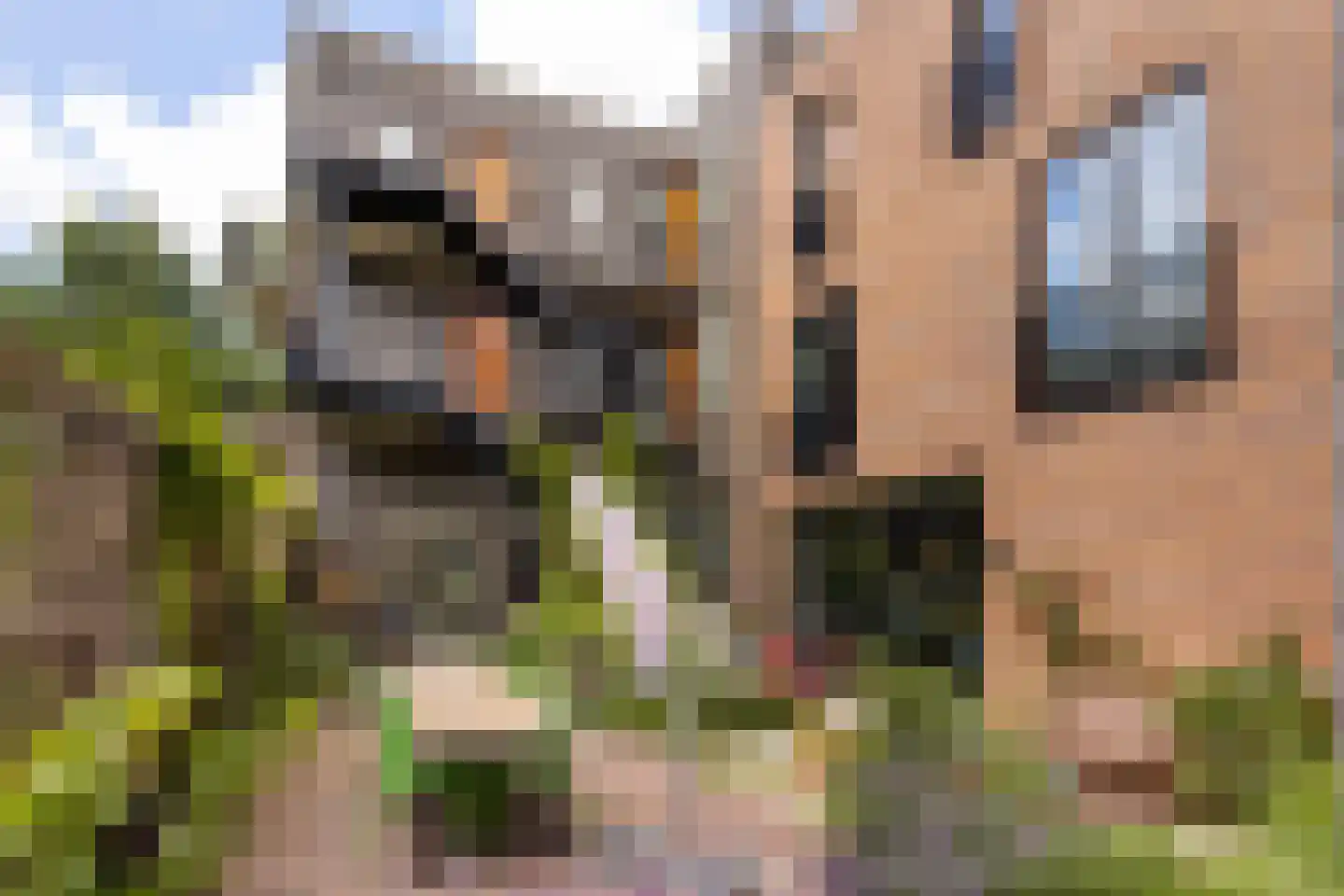 Odensestraat 4 Haarlem thumbnail 7