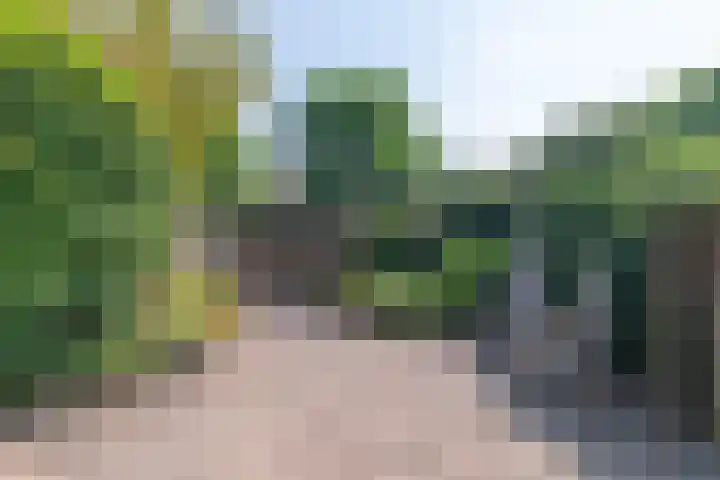 Odenveltlaan 12 Vleuten thumbnail 32