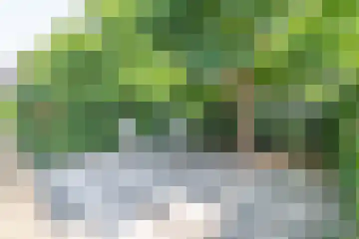 Odenveltlaan 12 Vleuten thumbnail 33