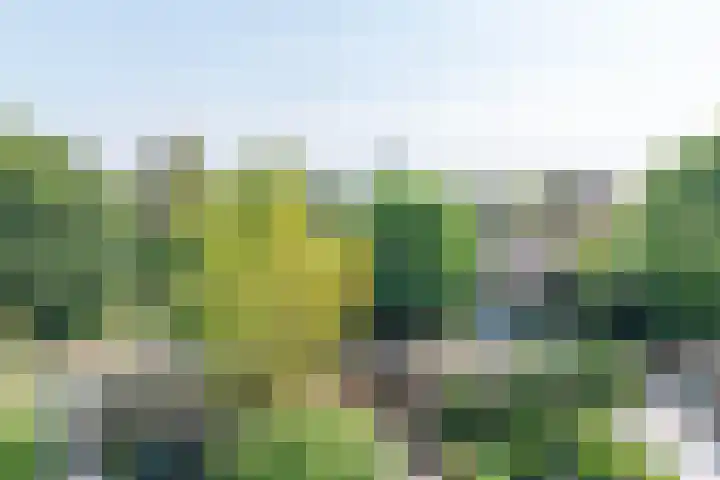 Odenveltlaan 12 Vleuten thumbnail 35