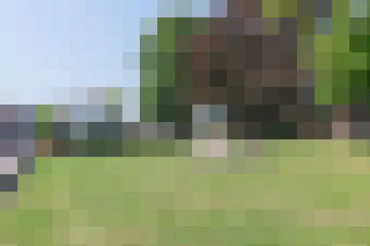 Odenveltlaan 12 Vleuten thumbnail 37