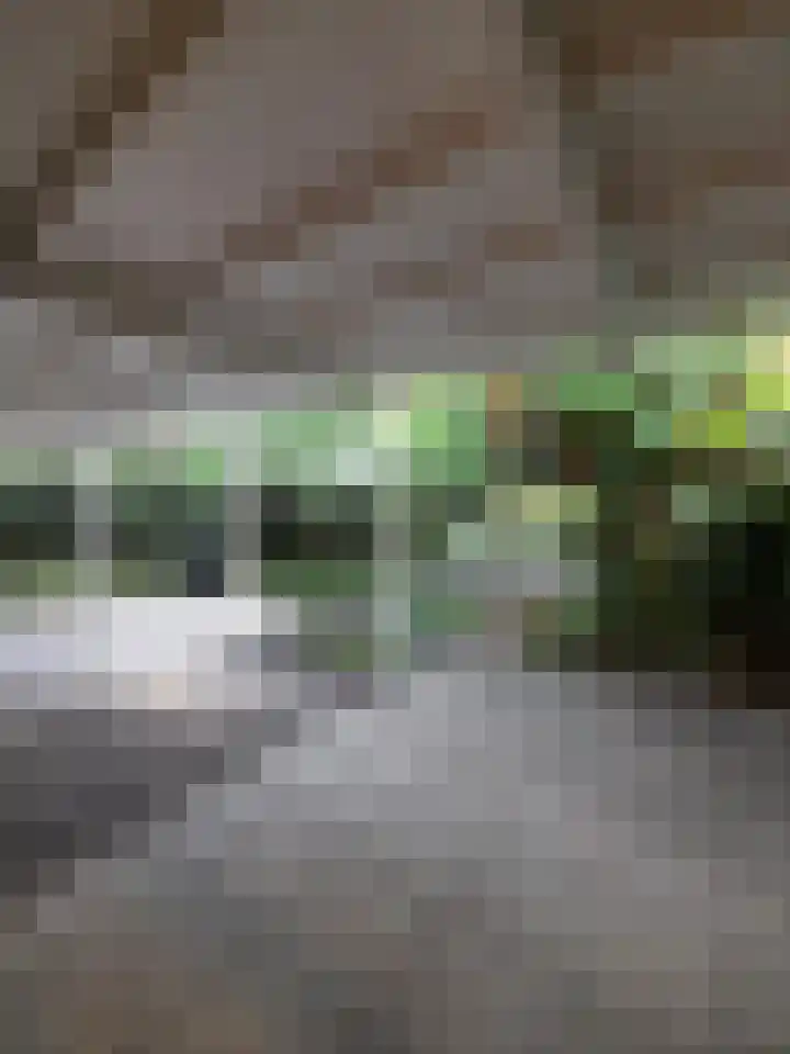 Oder 20 Doetinchem thumbnail 7