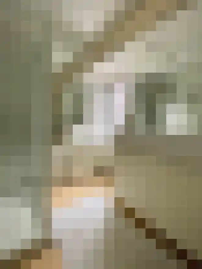 Oder 20 Doetinchem thumbnail 9