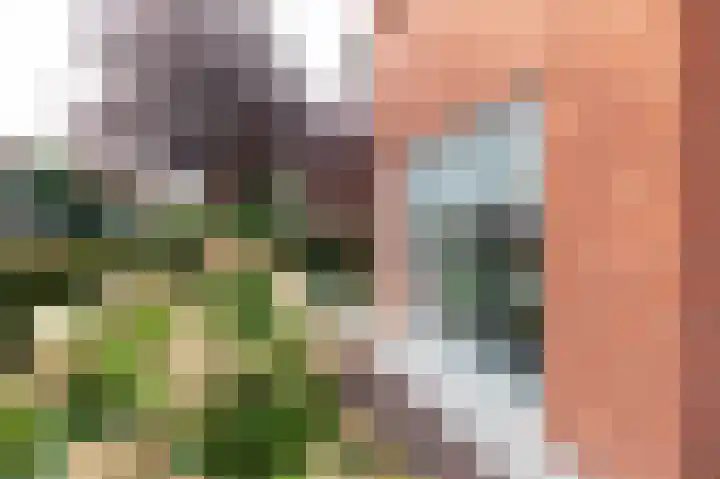 Oder 5 Doetinchem thumbnail 11