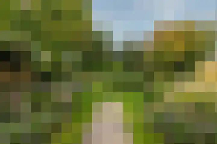 Oder 5 Doetinchem thumbnail 38