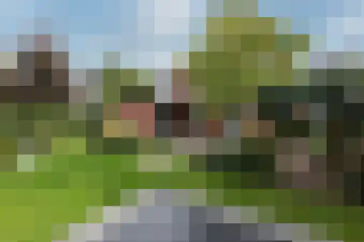 Oder 5 Doetinchem thumbnail 40