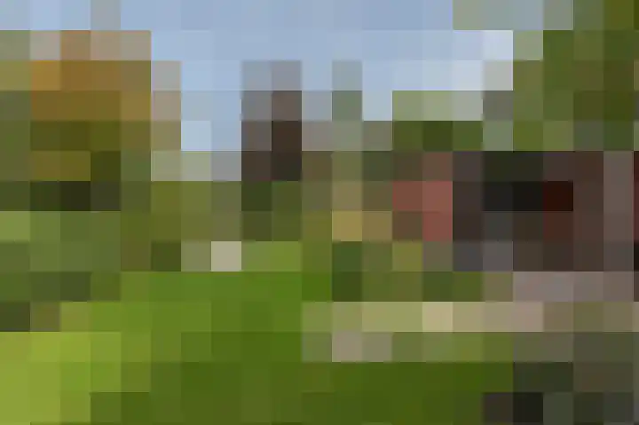 Oder 5 Doetinchem thumbnail 41