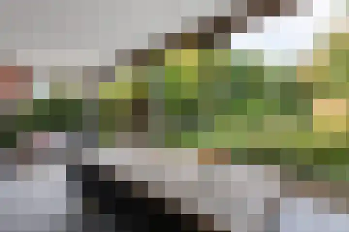 Oder 5 Doetinchem thumbnail 44