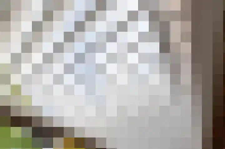 Oder 5 Doetinchem thumbnail 45