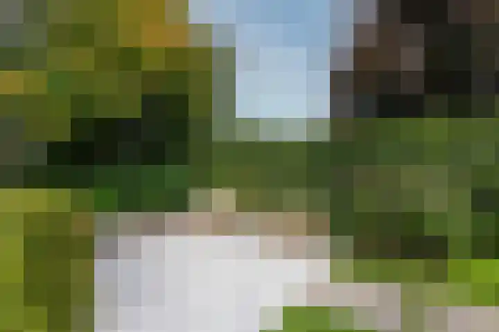 Oder 5 Doetinchem thumbnail 46