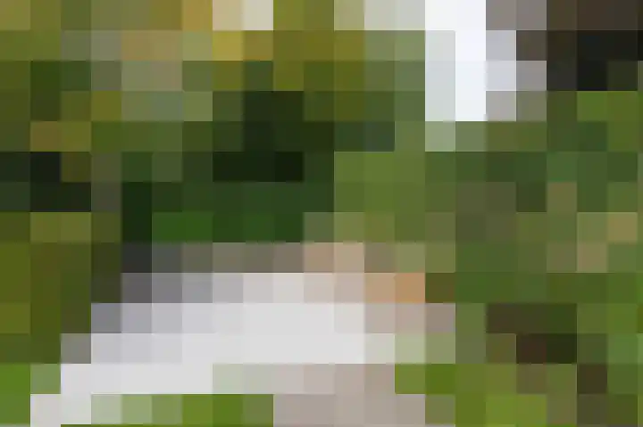 Oder 5 Doetinchem thumbnail 47