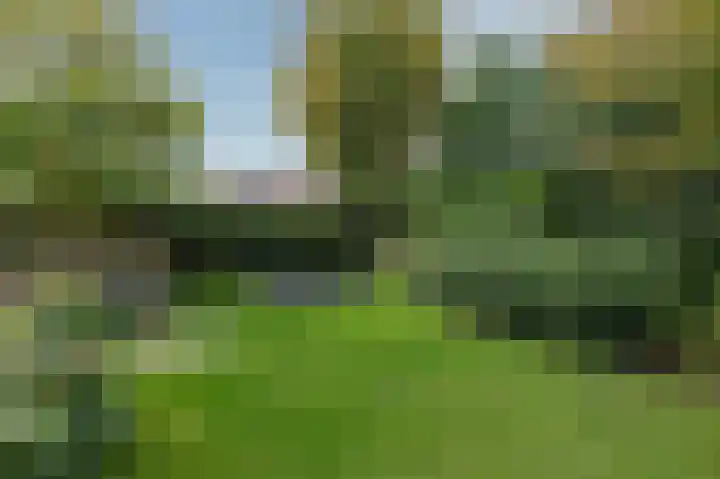 Oder 5 Doetinchem thumbnail 48