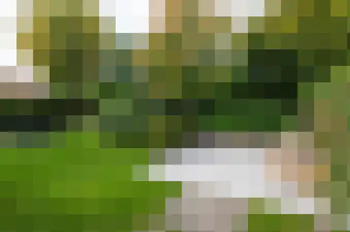 Oder 5 Doetinchem thumbnail 49