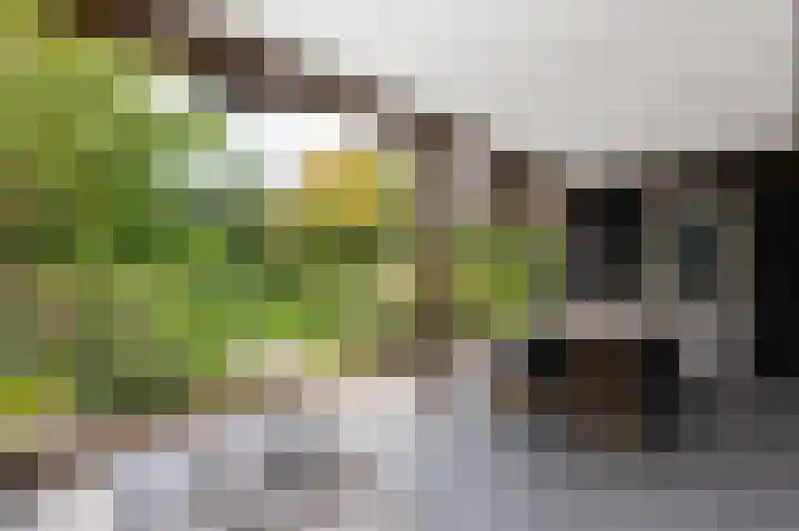 Oder 5 Doetinchem thumbnail 5