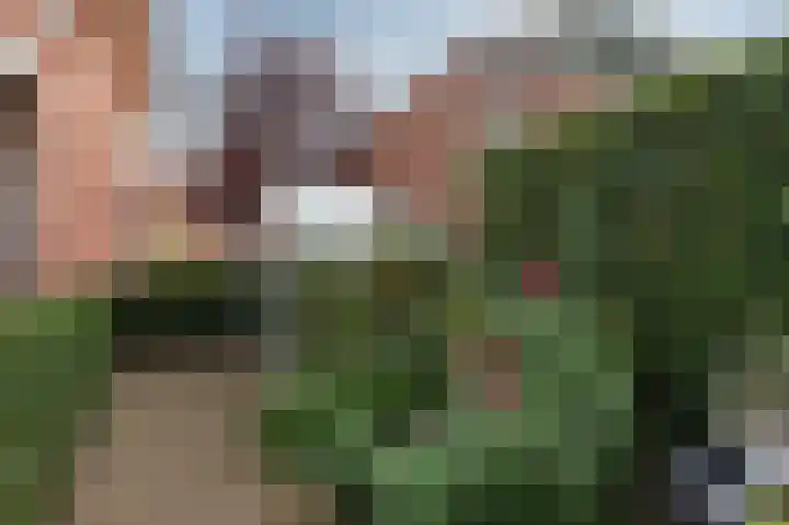 Oder 5 Doetinchem thumbnail 51
