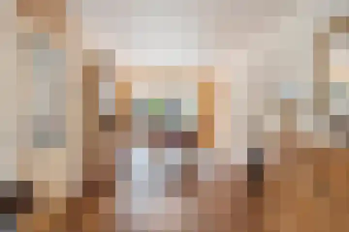Oderlaan 31 Son en Breugel thumbnail 10