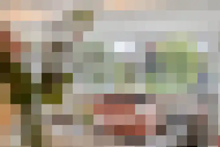 Oderlaan 31 Son en Breugel thumbnail 12