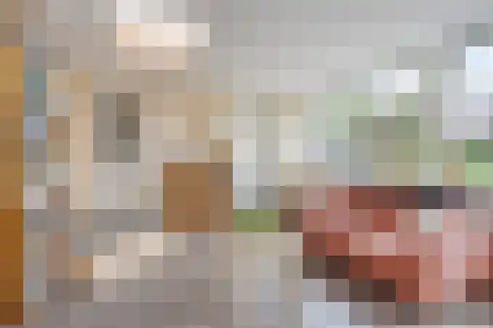 Oderlaan 31 Son en Breugel thumbnail 13