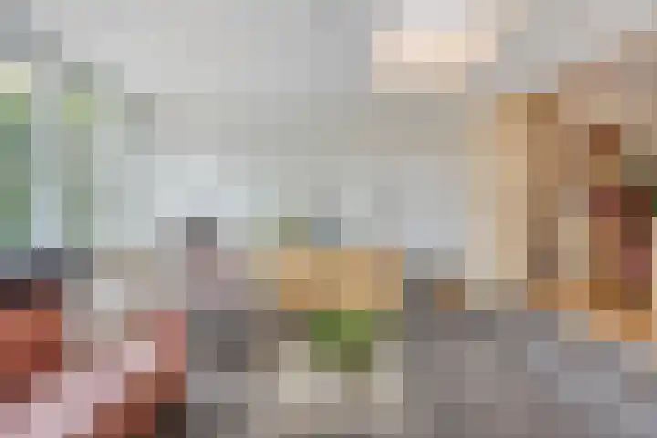 Oderlaan 31 Son en Breugel thumbnail 14