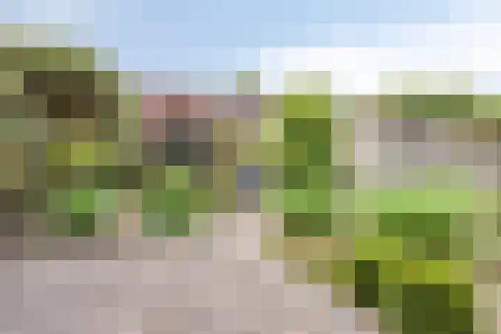 Oderlaan 31 Son en Breugel thumbnail 30
