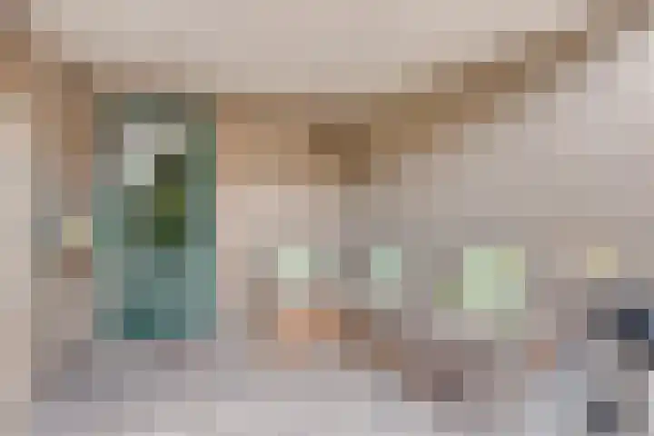 Oderlaan 31 Son en Breugel thumbnail 34