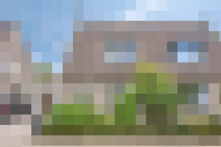 Oderlaan 31 Son en Breugel thumbnail 36