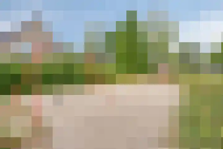 Oderlaan 31 Son en Breugel thumbnail 38