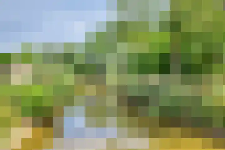 Oderlaan 31 Son en Breugel thumbnail 39