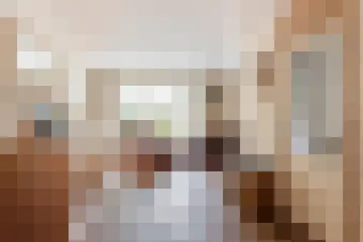 Oderlaan 31 Son en Breugel thumbnail 5
