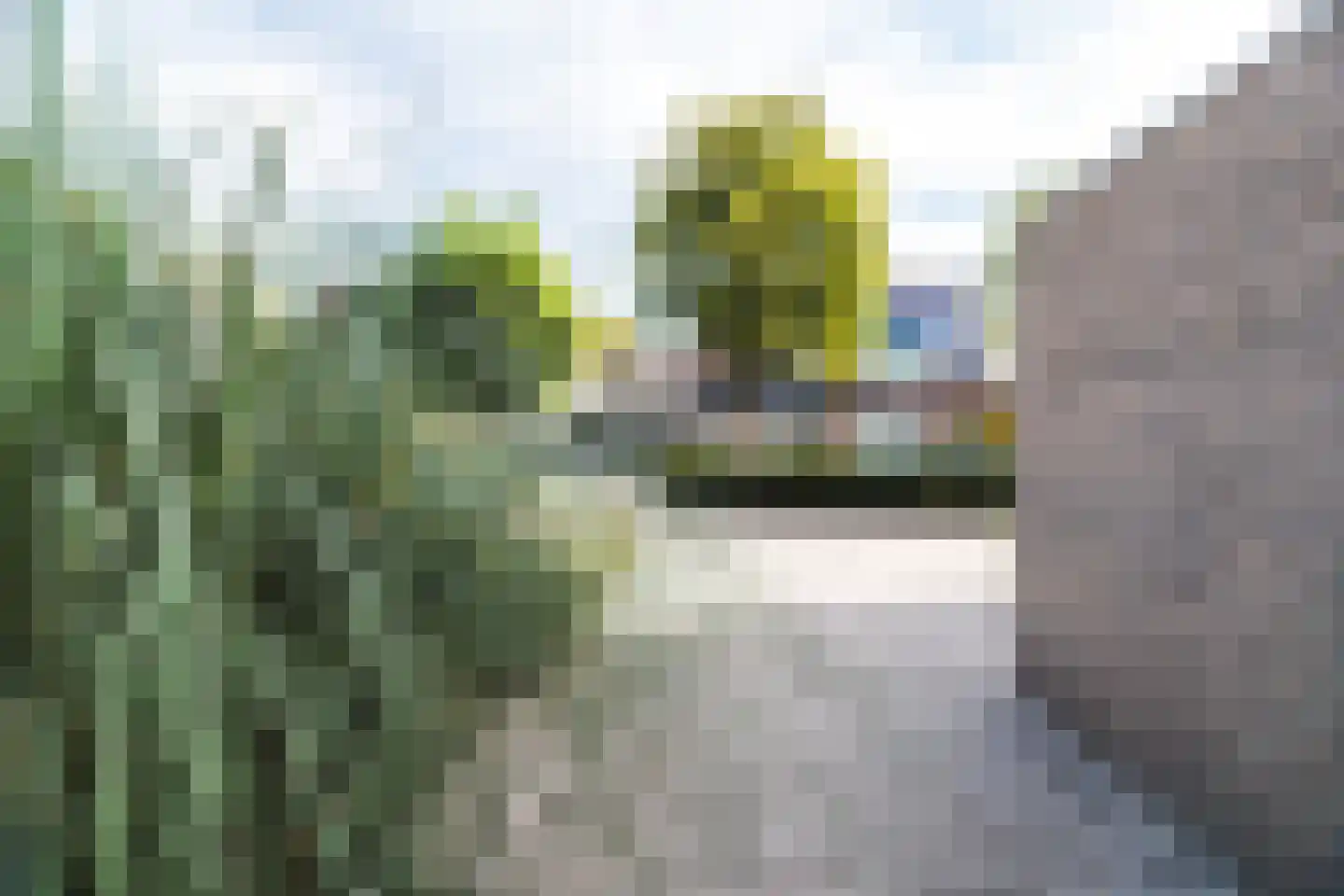 Oderlaan 49 Son en Breugel thumbnail 43