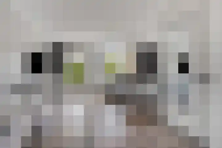 Oderstraat 15 Lelystad thumbnail 13