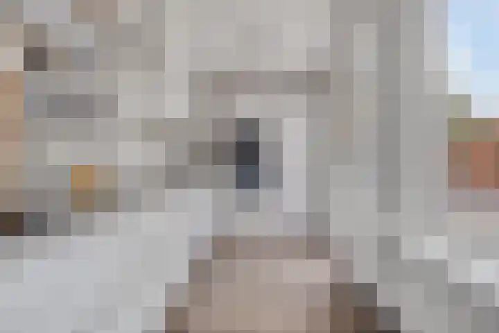 Oderstraat 15 Lelystad thumbnail 17