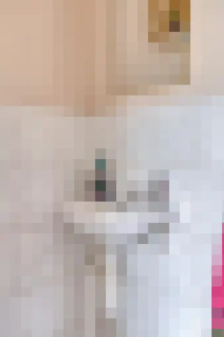 Oderstraat 15 Lelystad thumbnail 23