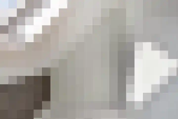 Oderstraat 15 Lelystad thumbnail 42