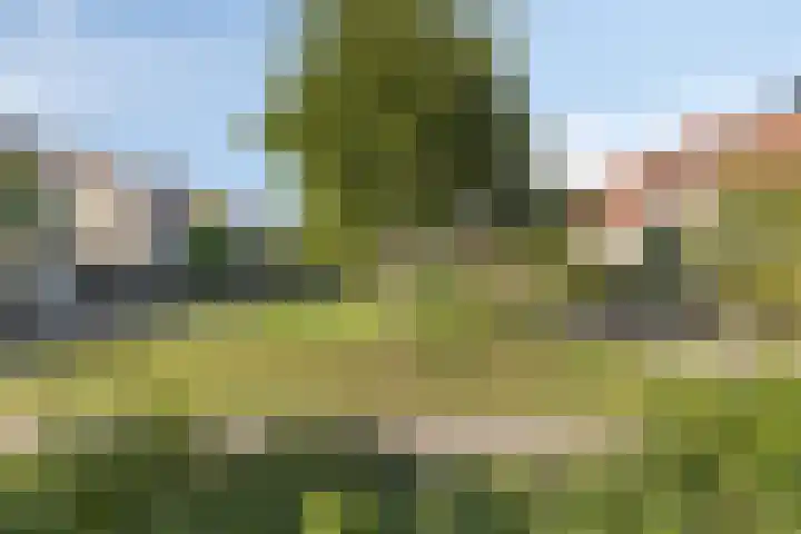 Oderstraat 15 Lelystad thumbnail 47