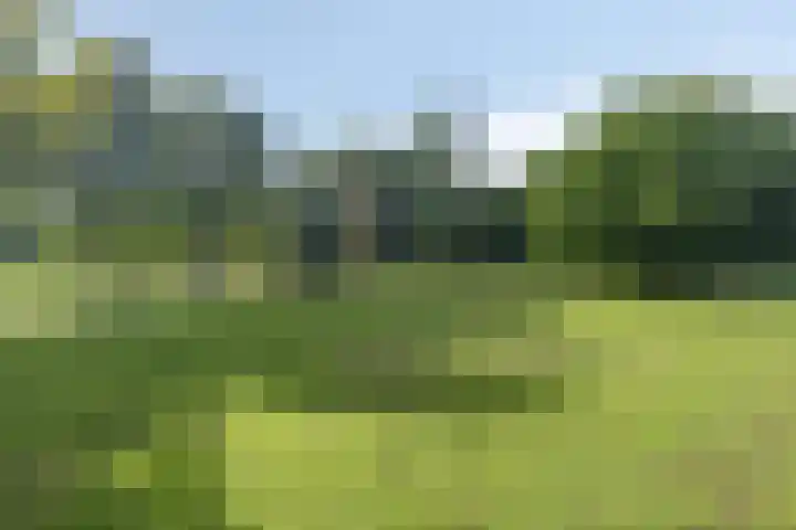 Oderstraat 15 Lelystad thumbnail 49