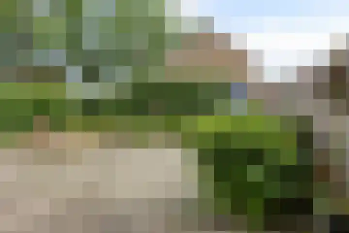 Oderstraat 2 Veghel thumbnail 23