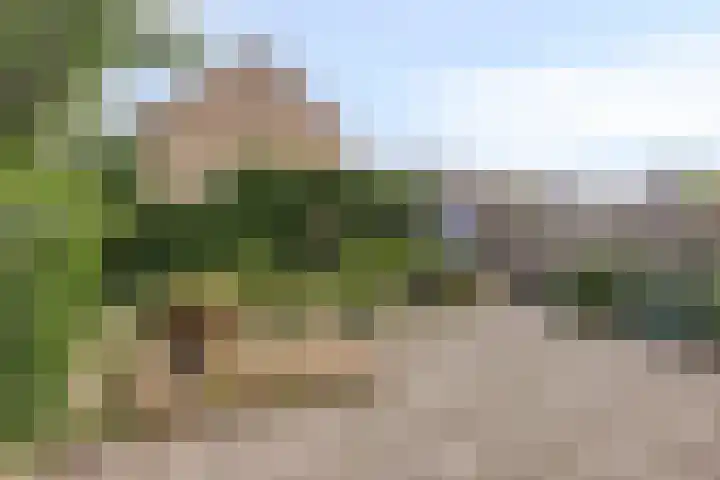 Oderstraat 2 Veghel thumbnail 24
